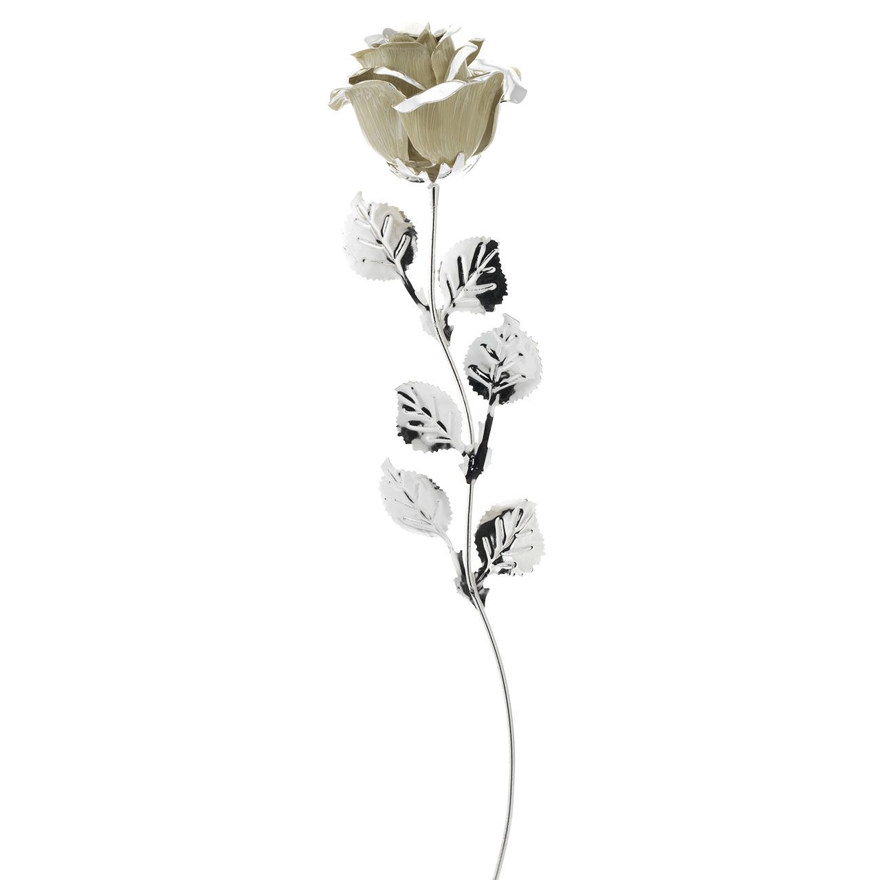 3x ROSA CM 39 - BIANCO (WITHOUT PACK)